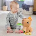 Бебешка кукла Fisher Price