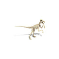 Δεινόσαυρος Clementoni Archéo Ludic Vélociraptor